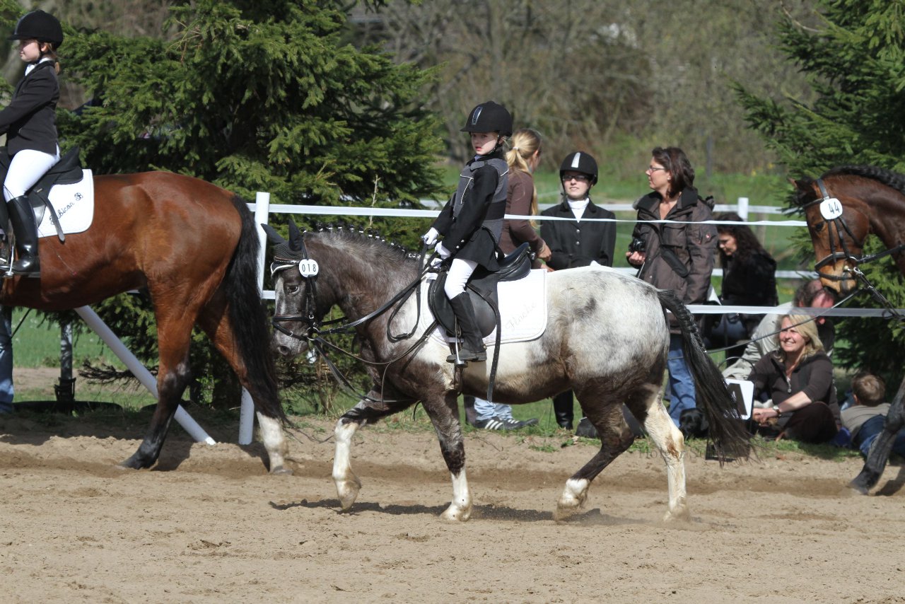 Bild 637 - WBO-Turnier am 9.4.11